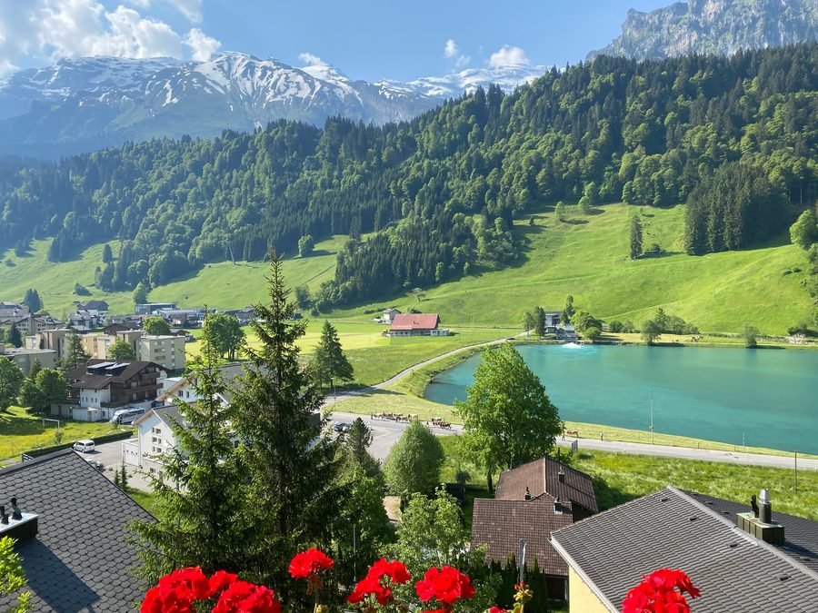 Summer view over meadows and the turquoise lake toward the mountains, red geraniums in the foreground